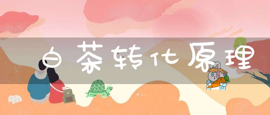 白茶转化原理