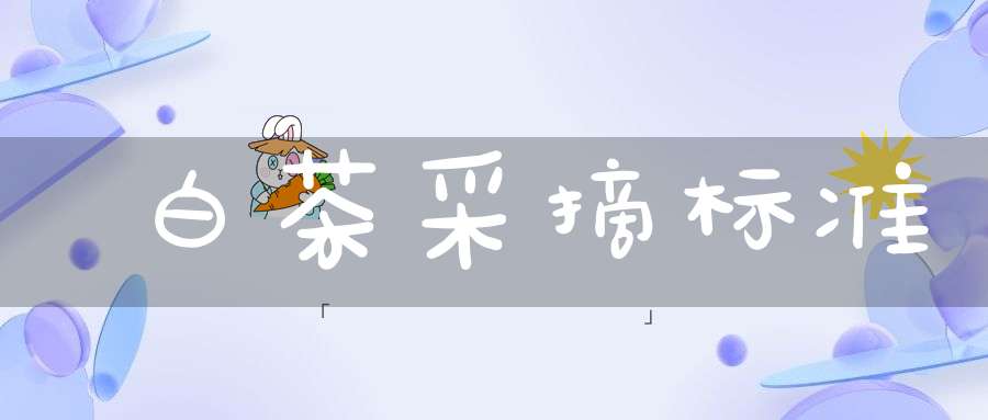 白茶采摘标准