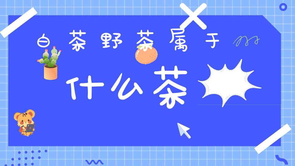 白茶野茶属于什么茶