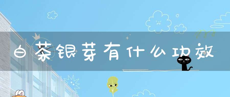 白茶银芽有什么功效