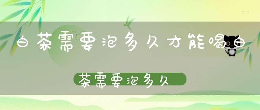 白茶需要泡多久才能喝白茶需要泡多久?