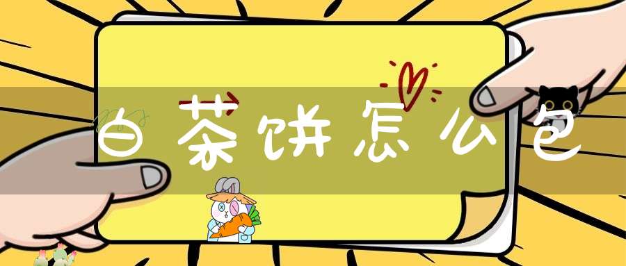 白茶饼怎么包