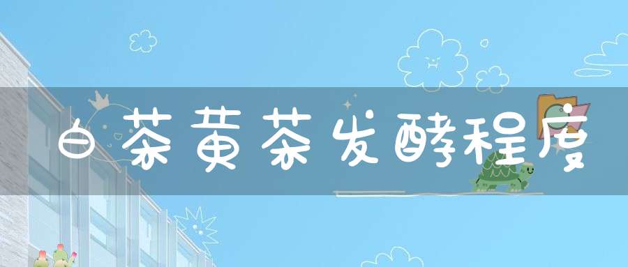 白茶黄茶发酵程度