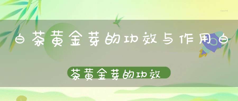 白茶黄金芽的功效与作用白茶黄金芽的功效和作用