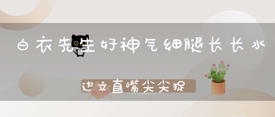 白衣先生好神气，细腿长长水边立，直嘴尖尖捉鱼虾，闲时拍翅身飞起。 （猜一动物）