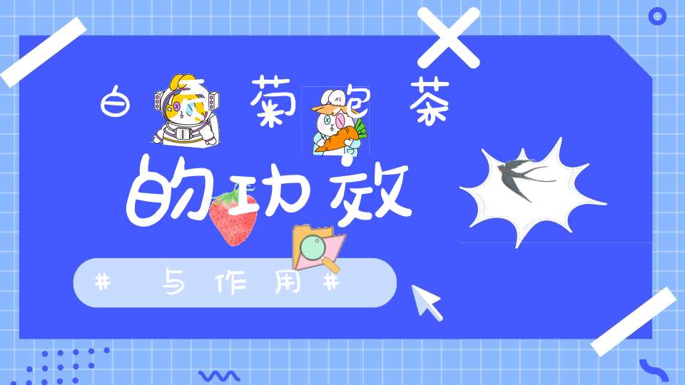 白贡菊泡茶的功效与作用