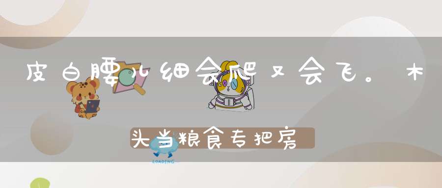 皮白腰儿细，会爬又会飞。木头当粮食，专把房屋毁（打一动物）