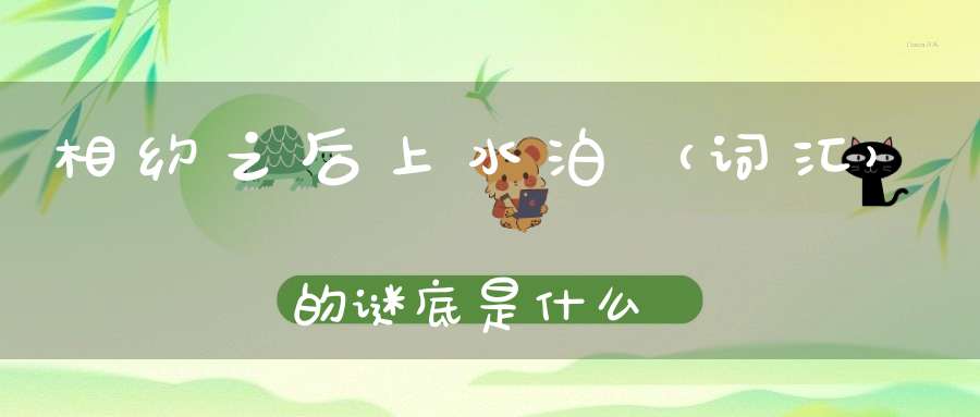 相约之后上水泊 （词汇）的谜底是什么?