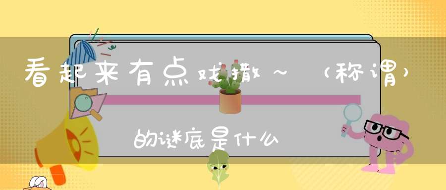 看起来有点戏撒～ （称谓）的谜底是什么?