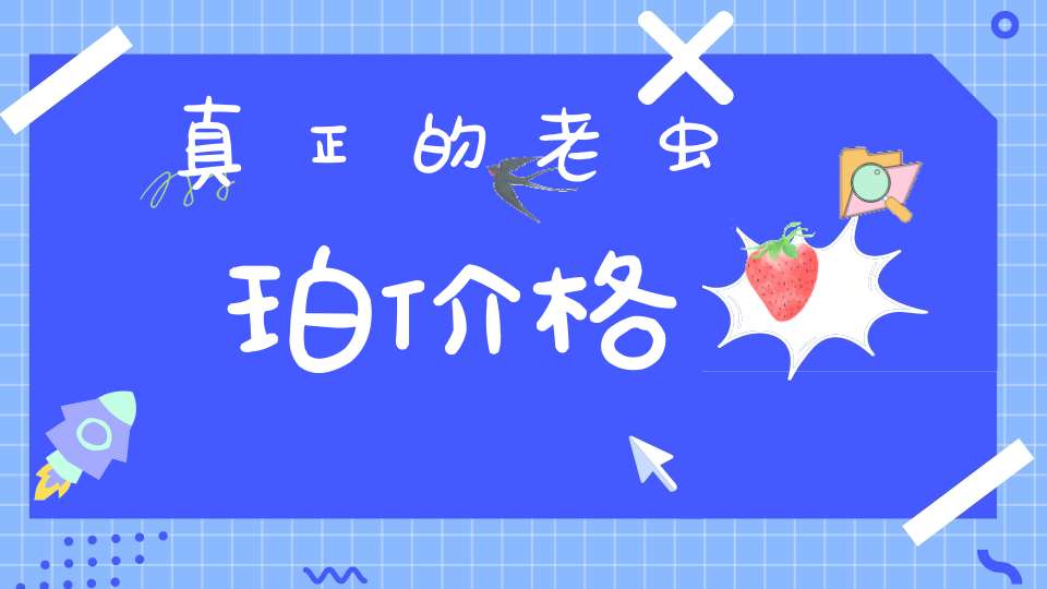 真正的老虫珀价格