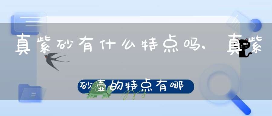 真紫砂有什么特点吗,真紫砂壶的特点有哪些