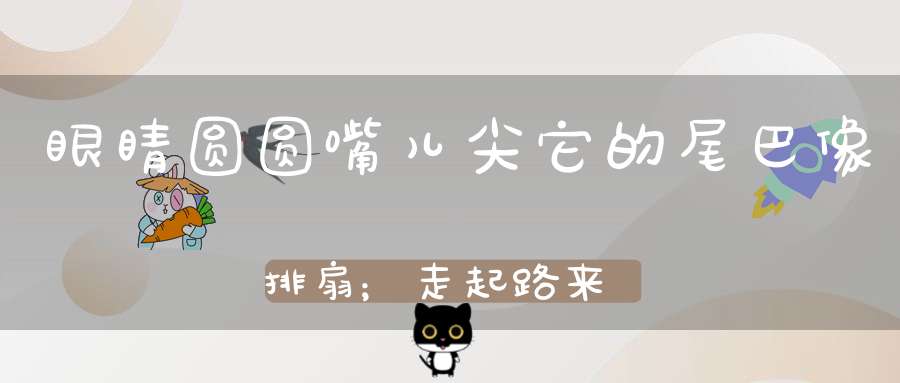 眼睛圆圆嘴儿尖，它的尾巴像排扇；走起路来像只鸡，能飞高来能飞低。 （猜一动物）
