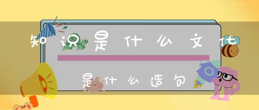 知识是什么文化是什么造句