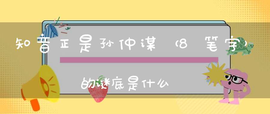 知音正是孙仲谋 （8笔字）的谜底是什么?