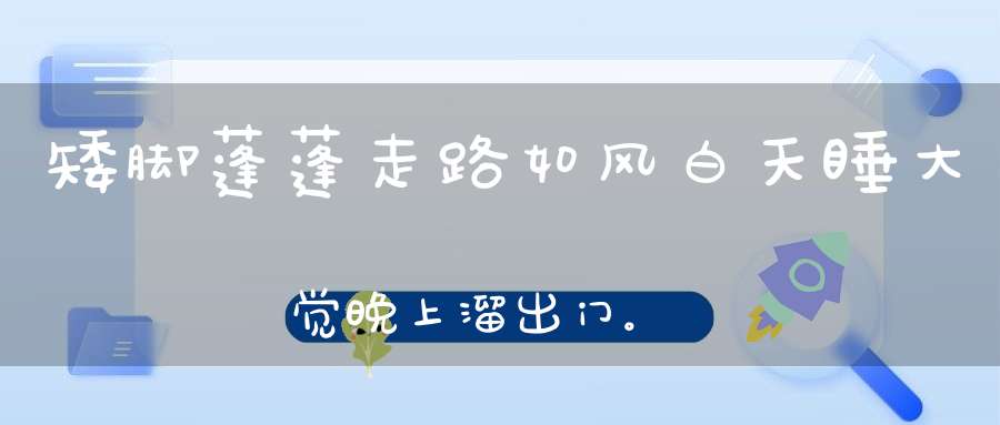 矮脚蓬蓬，走路如风，白天睡大觉，晚上溜出门。 （猜一动物）