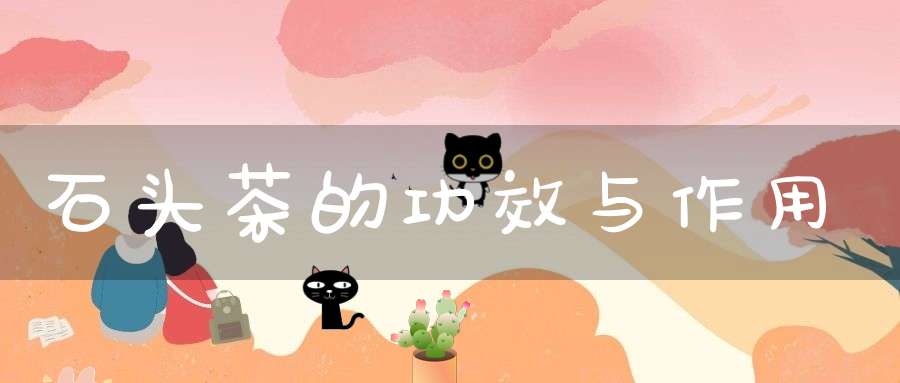 石头茶的功效与作用