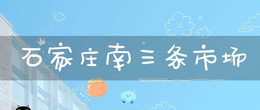 石家庄南三条市场