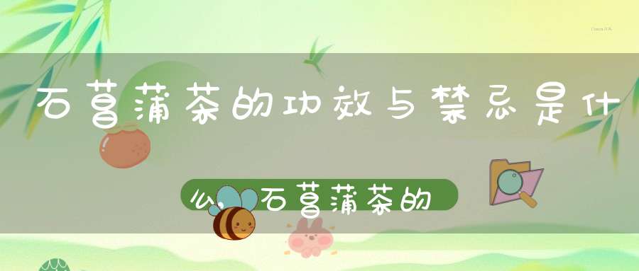 石菖蒲茶的功效与禁忌是什么,石菖蒲茶的功效与禁忌症
