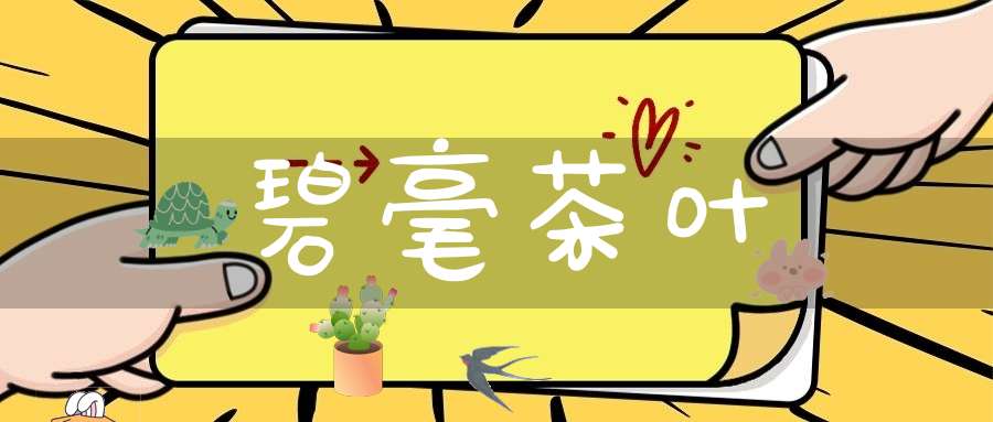碧毫茶叶