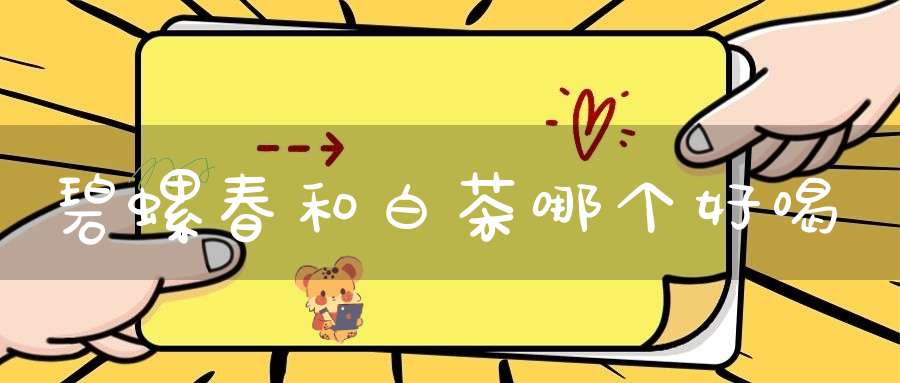 碧螺春和白茶哪个好喝
