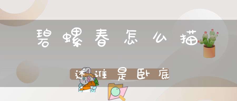 碧螺春怎么描述谁是卧底