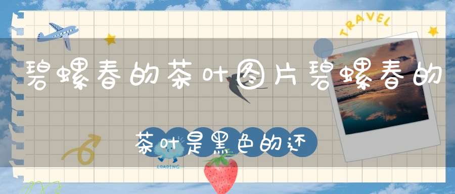 碧螺春的茶叶图片碧螺春的茶叶是黑色的还是绿色的?
