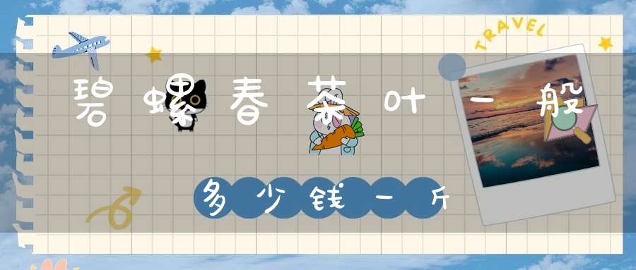 碧螺春茶叶一般多少钱一斤