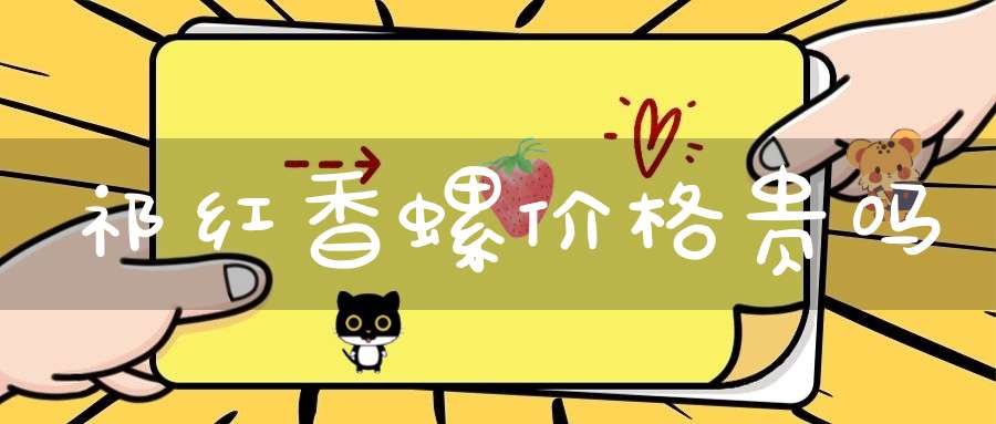 祁红香螺价格贵吗