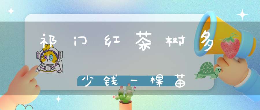 祁门红茶树多少钱一棵苗