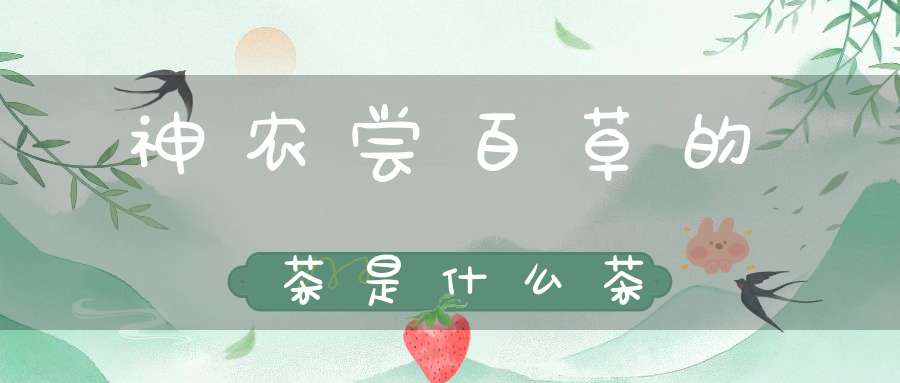 神农尝百草的茶是什么茶