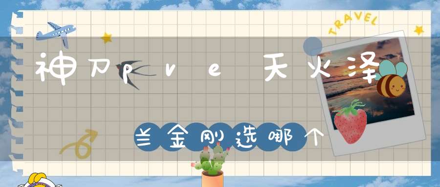 神刀pve天火泽兰金刚选哪个？