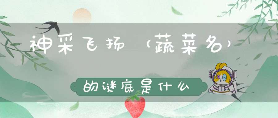 神采飞扬 （蔬菜名）的谜底是什么?