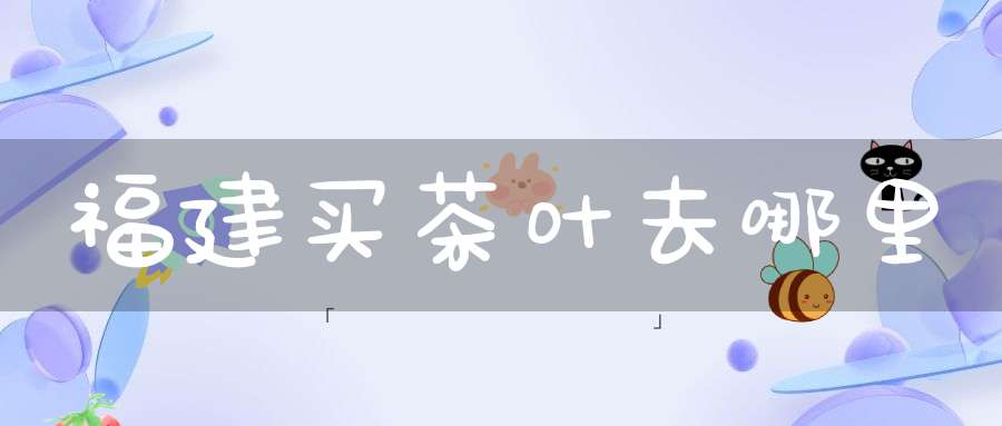 福建买茶叶去哪里