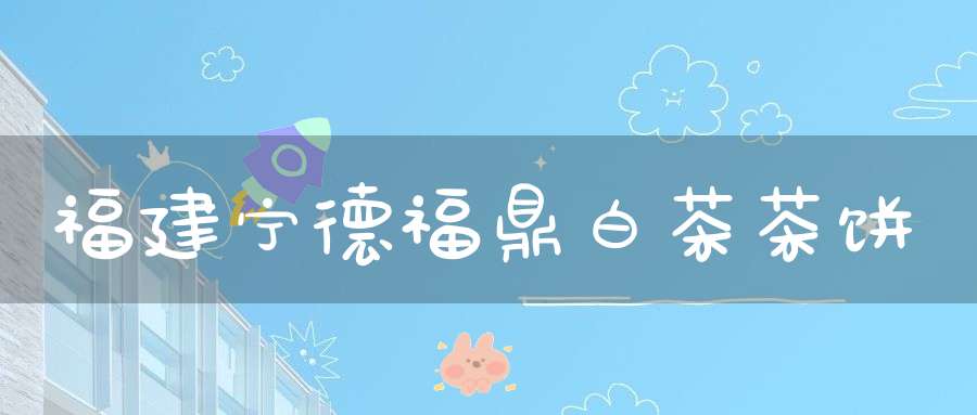 福建宁德福鼎白茶茶饼