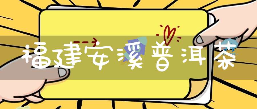 福建安溪普洱茶