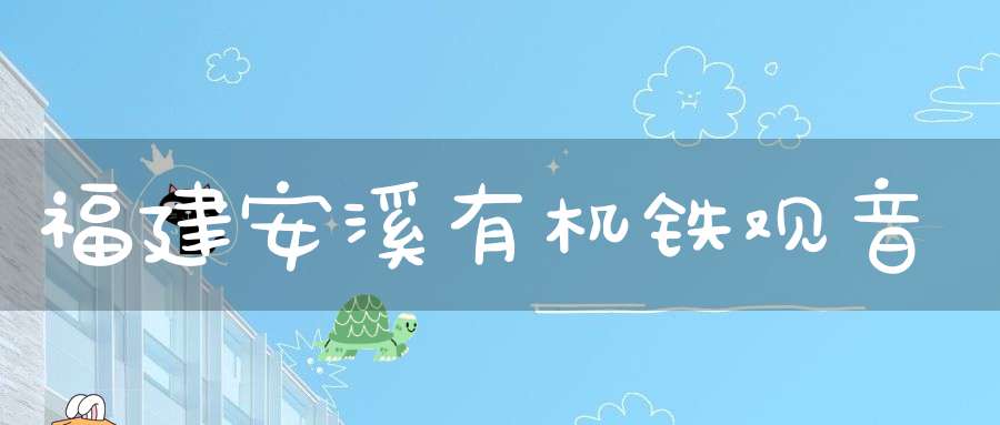 福建安溪有机铁观音