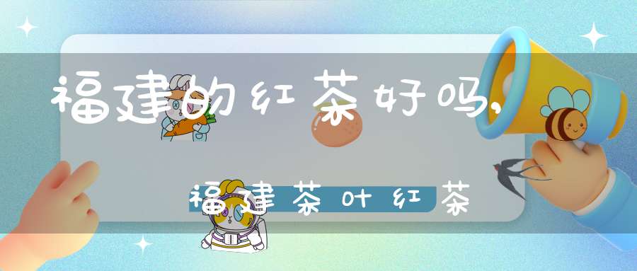福建的红茶好吗,福建茶叶红茶