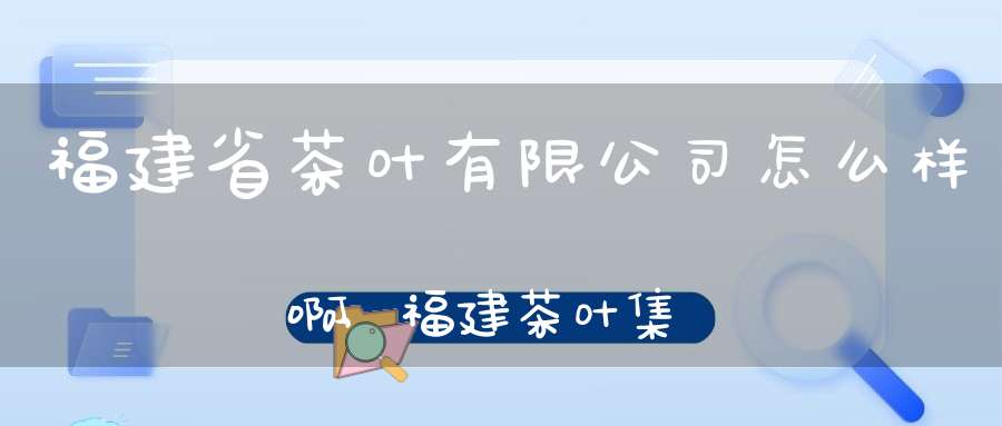 福建省茶叶有限公司怎么样啊,福建茶叶集团