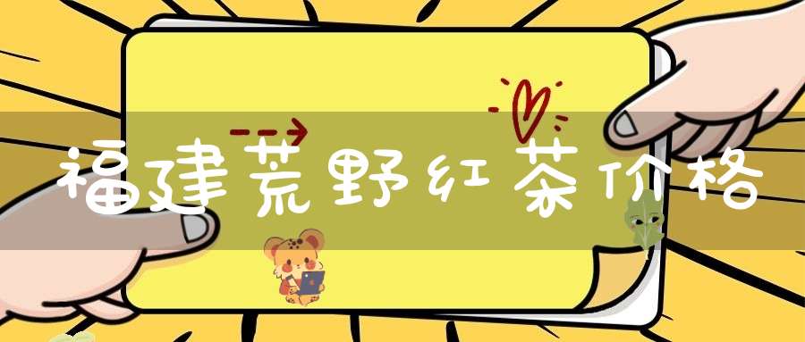 福建荒野红茶价格