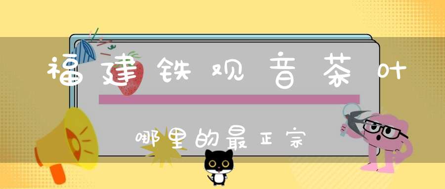 福建铁观音茶叶哪里的最正宗