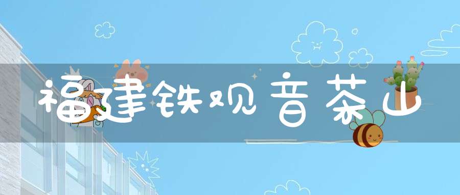 福建铁观音茶山