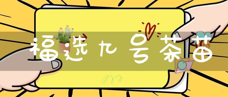 福选九号茶苗