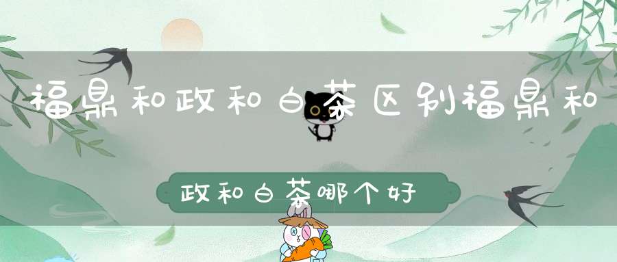 福鼎和政和白茶区别福鼎和政和白茶哪个好喝