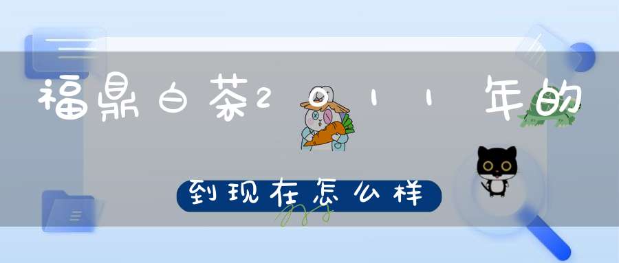福鼎白茶2011年的到现在怎么样