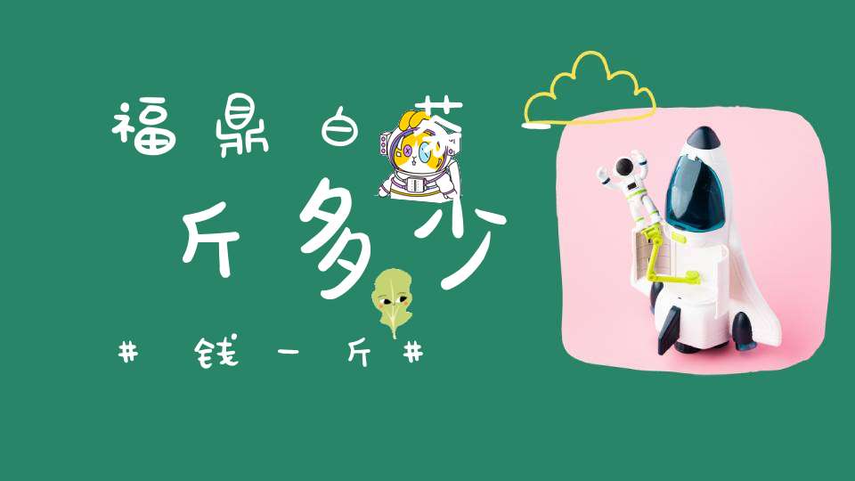 福鼎白茶一斤多少钱一斤