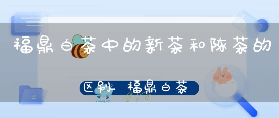 福鼎白茶中的新茶和陈茶的区别_福鼎白茶新茶好还是陈茶好