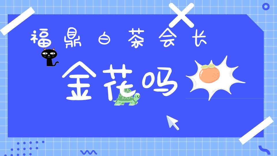 福鼎白茶会长金花吗