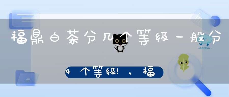 福鼎白茶分几个等级?一般分4个等级!,福鼎白茶分几个等级?