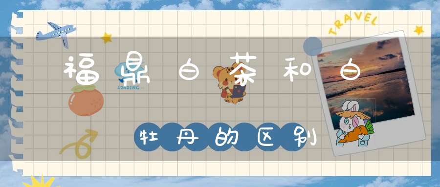 福鼎白茶和白牡丹的区别