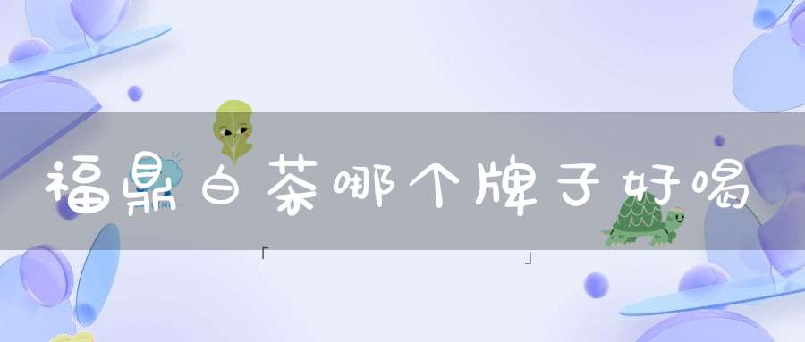 福鼎白茶哪个牌子好喝